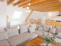 Grands appartements Colmar 