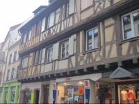Salva 