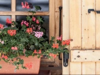 Chalet Caprice 