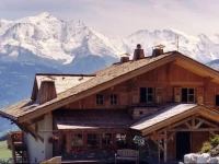 La Joubarbe au Balcon du Mont-Blanc 