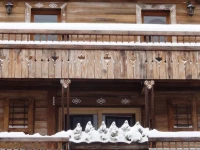 Fleur de Neige 
