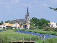 Chevrefeuille et Eglantine 