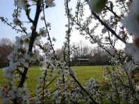 Domaine de la GrangГ©e 
