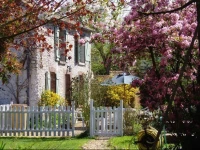 Chez Flo 