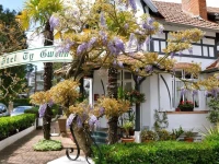 Hotel Ty Gwenn 