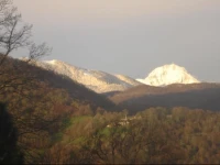 La Colo 