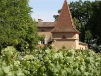 Chambres dвЂ™HГґtes ChГўteau Touny les Roses 
