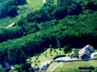 Le Cerf Thibault 