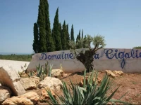 Domaine de la CigaliГЁre 