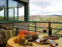 Logis Auberge du Fel 