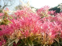 Chambres dhГґtes Le Jardin DAlice 