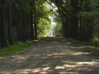 Bed & Breakfast Princenbosch 