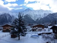 Les Chamois H301 
