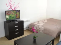 Beau Studio Hyper Centre Gare Lille Flandres 