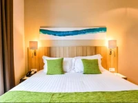 Quality Suites Lyon 7 Lodge 