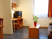 AppartвЂ™City Confort Lyon Gerland (Ex Park&Suites) 