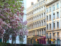 Hotel des Celestins