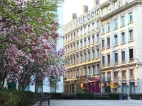 Hotel des Celestins 3*