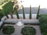 Le Bellini 