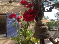 Le Patio Fleuri 