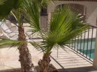 Villa Azur 
