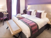 Best Western Plus HГґtel Le Rive Droite & SPA 