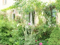 Au Jardin Des Violettes 