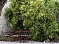 Les Deux Abbesses en Vert 