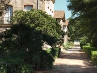 Domaine de la Mandoune 