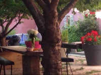 BnB Vieux Port Panier Jardin 