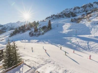Hotel Les Arolles 