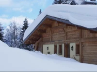 Chalet Alvine 
