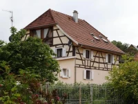 Chat au Grumbach 
