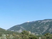 Aicardi 