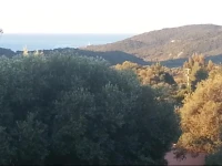 Tomasini 