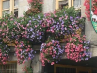 Chambres dHГґtes A la Garde Ducale 