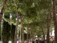 Homestay - Appartements 