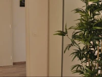 Lavandin Montpellier 