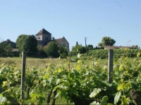 ChГўteau Croix BeausГ©jour 