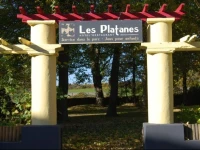 HГґtel Restaurant les Platanes 