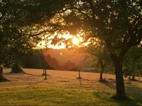 Domaine de Lascaux 