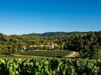 Domaine Calmel & Joseph 