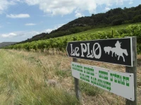 Bergerie Du Plo 