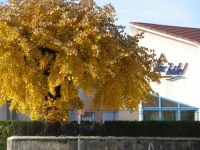 LacHotel France 