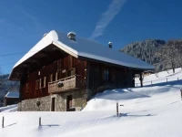 Chalet les Fys 
