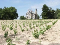 Chateau Breduriere 