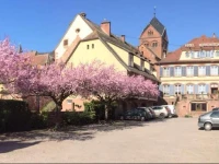 HГґtel Du Herrenstein 