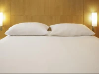 ibis Nemours 
