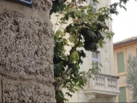 B&B Casa Doc 