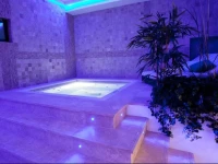 Phoenicia 